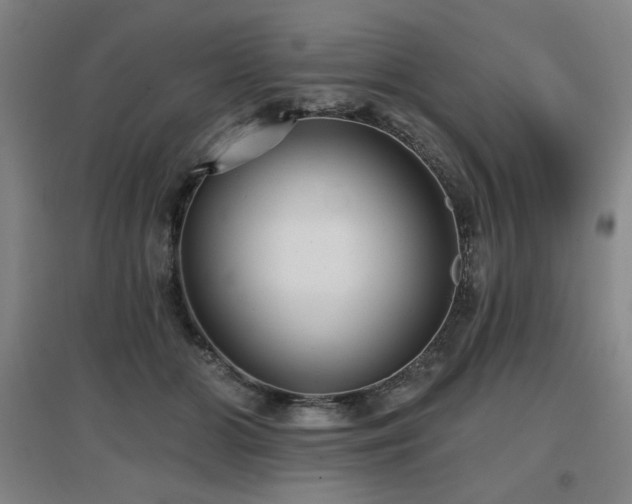 X0000097610510200802291305
