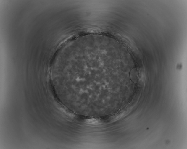 X0000097610511200802291305