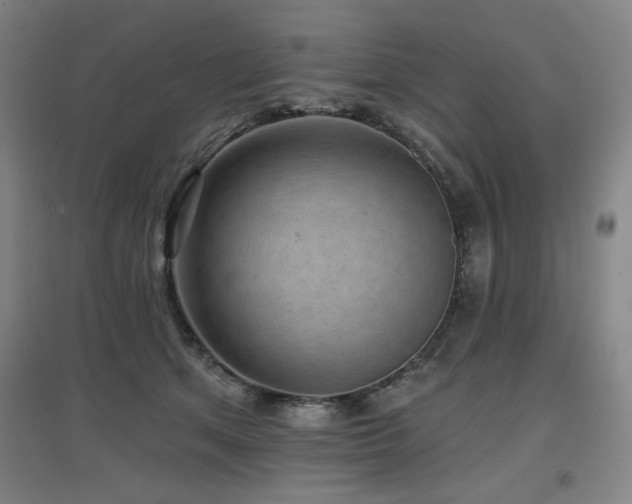 X0000097610513200802291305
