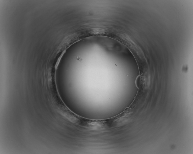 X0000097610516200802291305