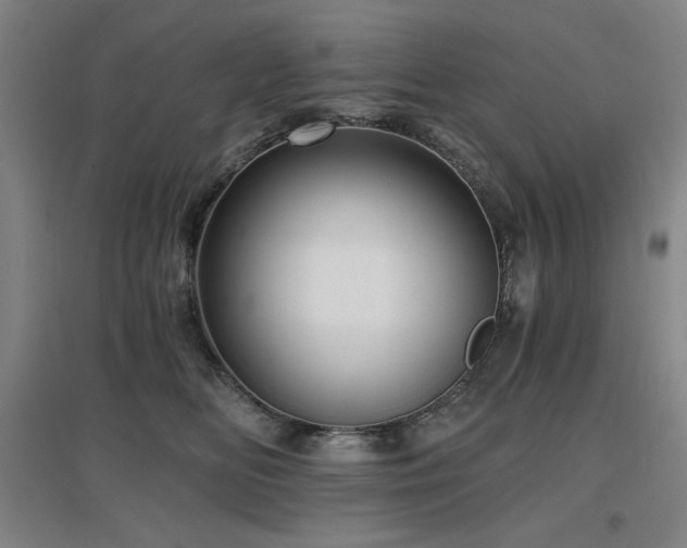 X0000097610518200802291305