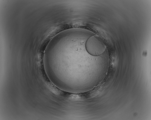 X0000097610519200802291305