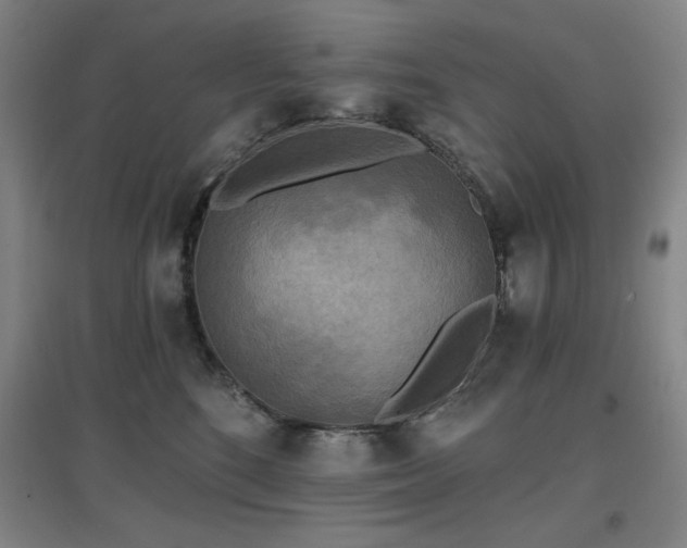 X0000097610520200802291305