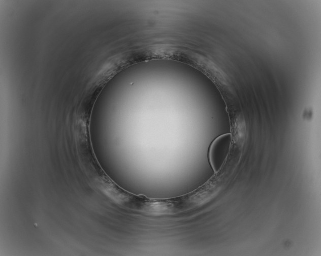X0000097610522200802291305