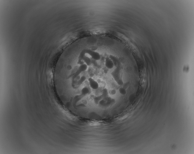 X0000097610523200802291305