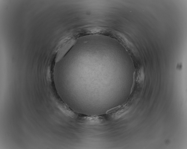 X0000097610524200802291305