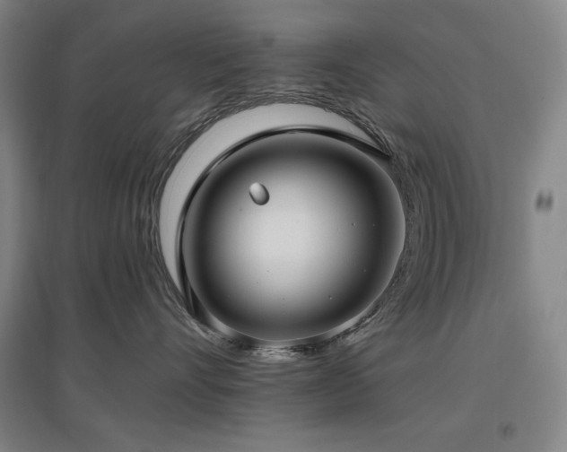 X0000097610528200802291305