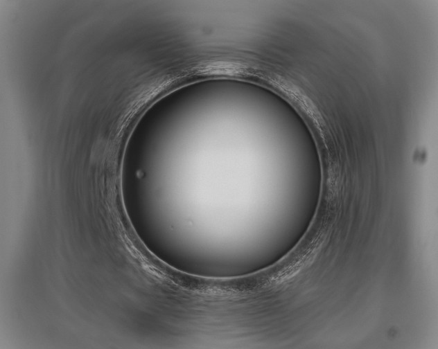X0000097610529200802291304