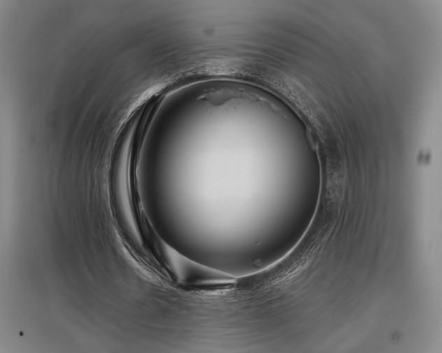 X0000097610530200802291304