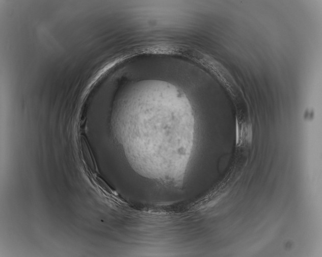 X0000097610531200802291304