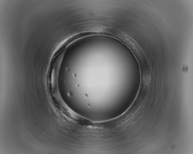 X0000097610532200802291304