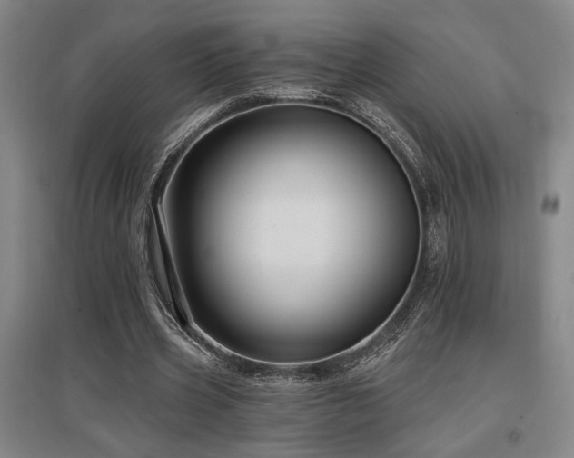 X0000097610533200802291304