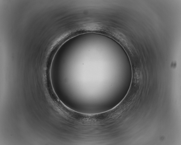 X0000097610535200802291304