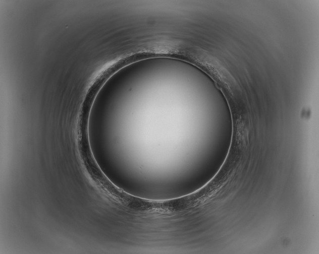 X0000097610536200802291304
