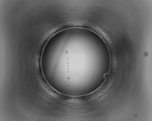 X0000097610537200802291304