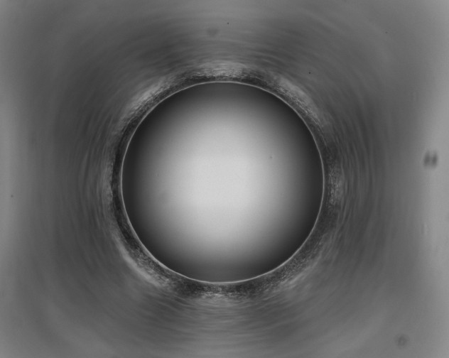 X0000097610538200802291304