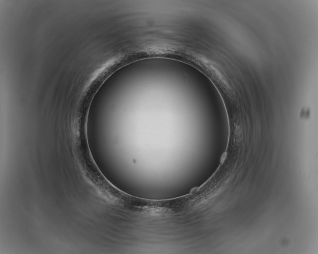 X0000097610539200802291304