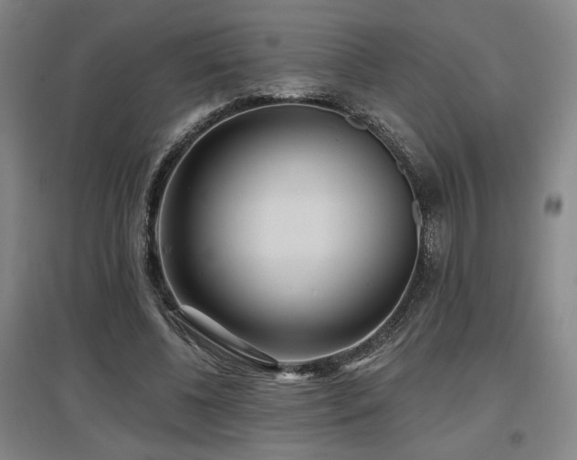 X0000097610540200802291304