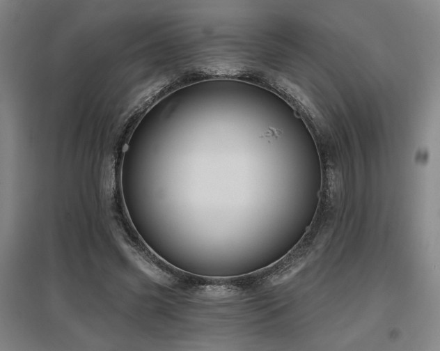 X0000097610541200802291304