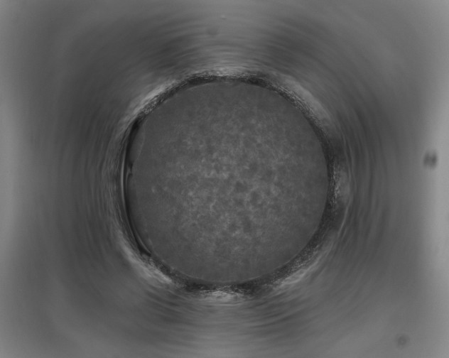X0000097610542200802291304