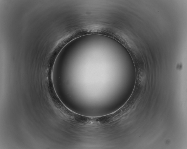 X0000097610543200802291304