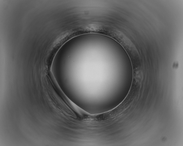 X0000097610544200802291304