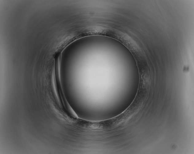 X0000097610546200802291304