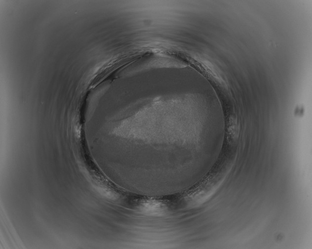 X0000097610547200802291304