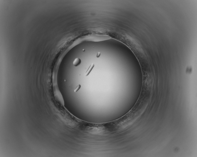 X0000097610548200802291304