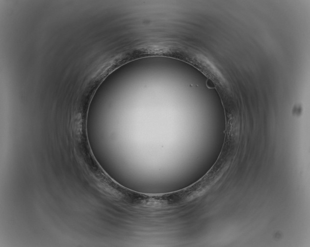 X0000097610549200802291304