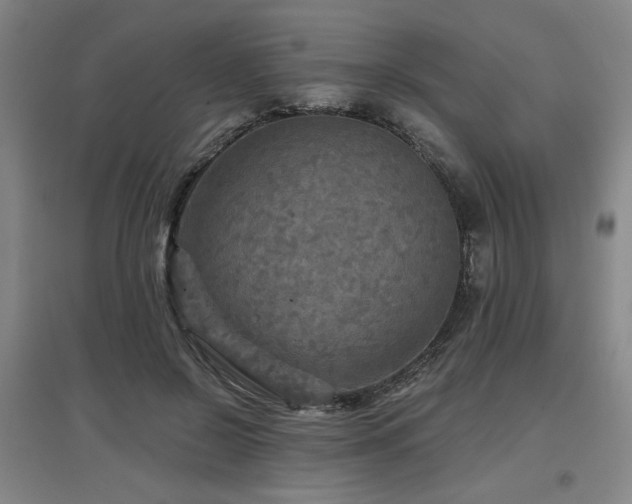 X0000097610550200802291304