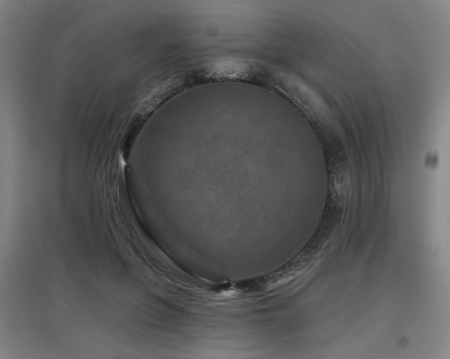 X0000097610551200802291304