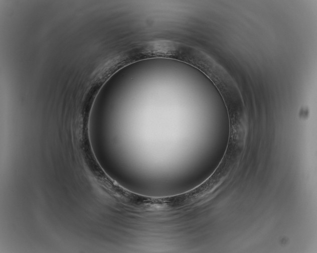X0000097610552200802291304