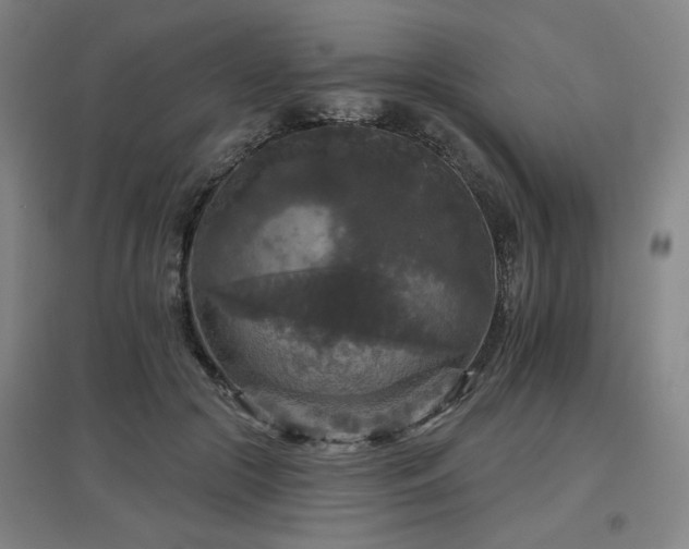 X0000097610553200802291304