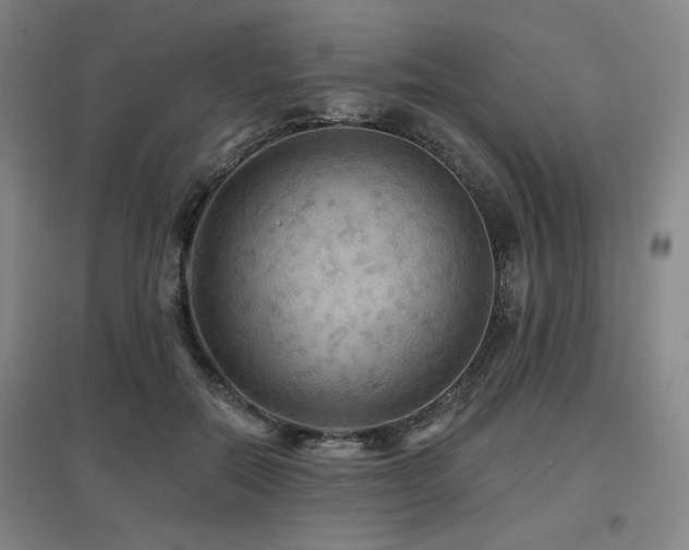 X0000097610554200802291304