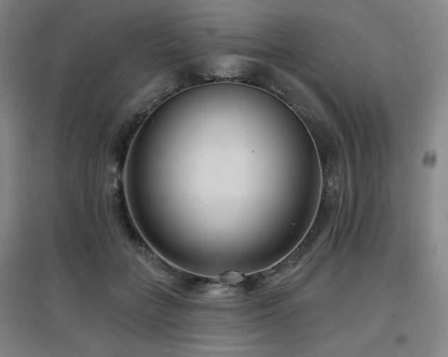 X0000097610555200802291304