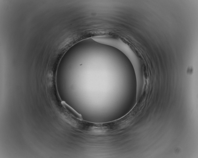 X0000097610556200802291304