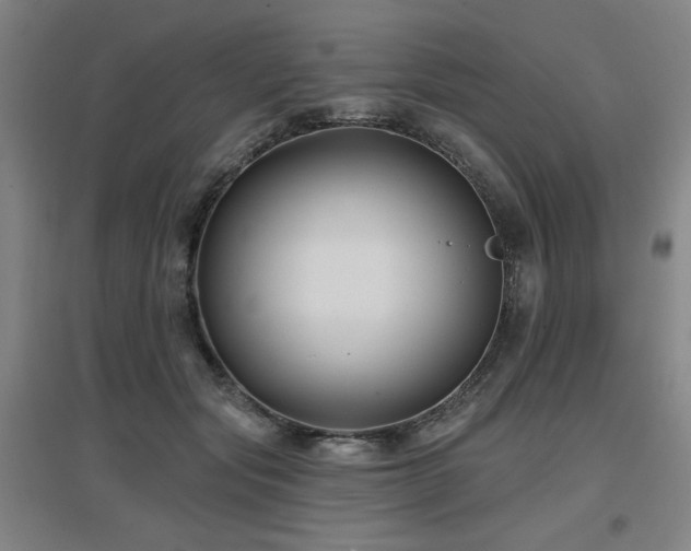 X0000097610557200802291304