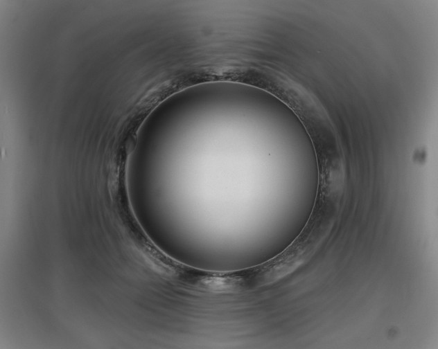 X0000097610558200802291304