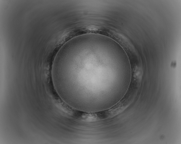 X0000097610559200802291304