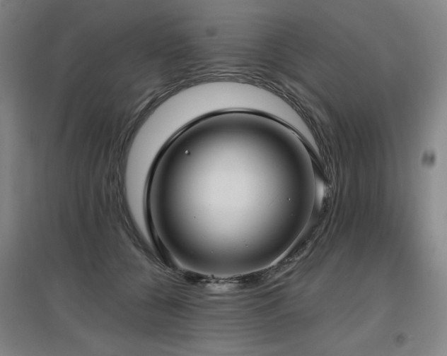 X0000097610560200802291304