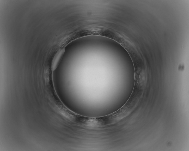 X0000097610562200802291304