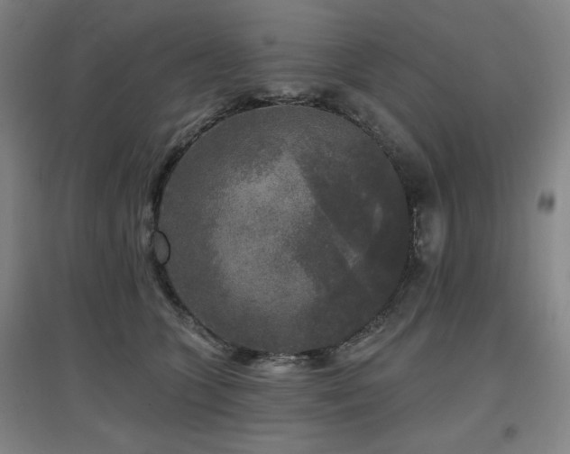 X0000097610563200802291304