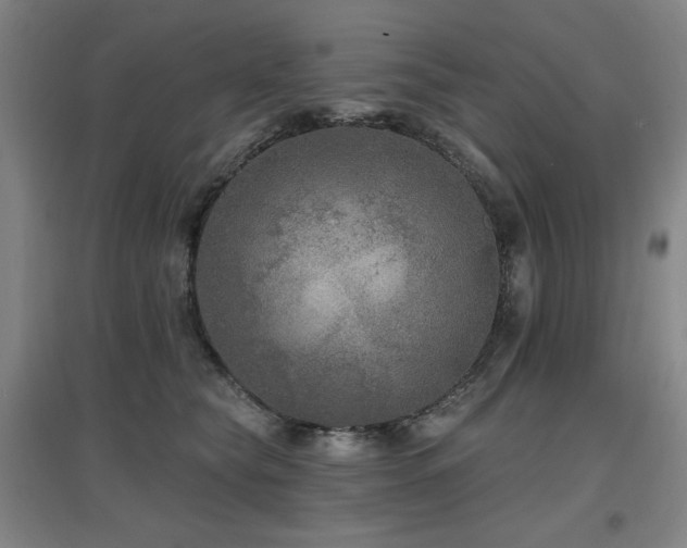 X0000097610565200802291304