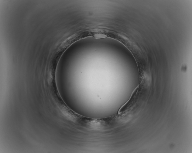 X0000097610566200802291304