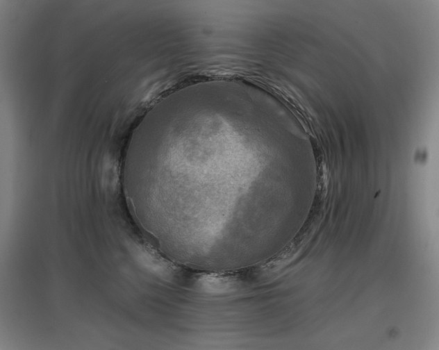 X0000097610568200802291304