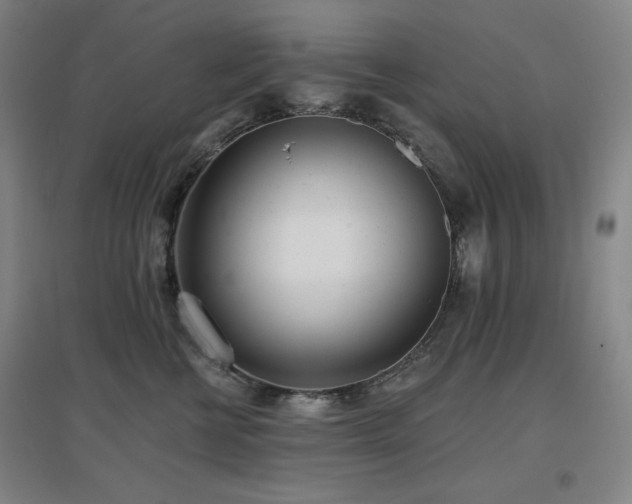 X0000097610570200802291304