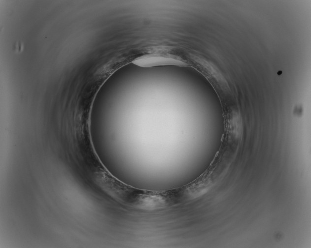 X0000097610572200802291305