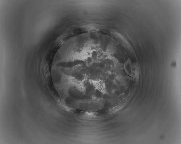 X0000097610573200802291305