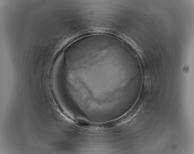 X0000097610577200802291304